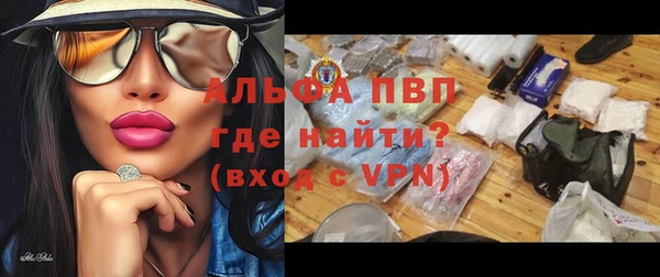 прущие грибы Сосновоборск