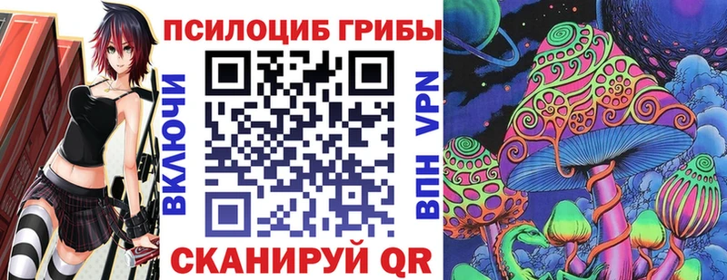 Псилоцибиновые грибы Psilocybe  купить наркотик  Тотьма 